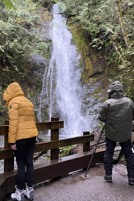 Olympic National Park: Half-Day Tour - Marymere Falls through ancient forest