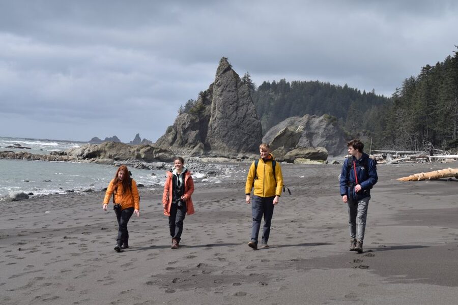 Olympic National Park: Hoh Rain Forest and Rialto Beach Tour - Booking details that matter