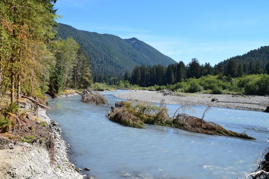 Olympic National Park: Hoh Rain Forest and Rialto Beach Tour - The early ride into the Hoh Rain Forest