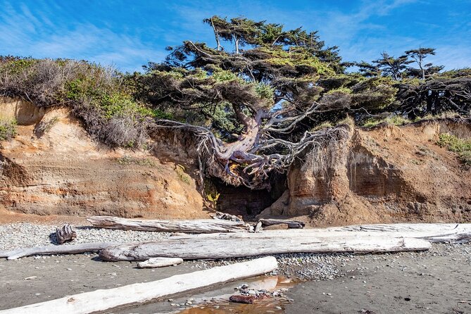 Olympic National Park Self-Guided Audio Tour - Marymere Falls, Salmon Cascades, and Sol Duc
