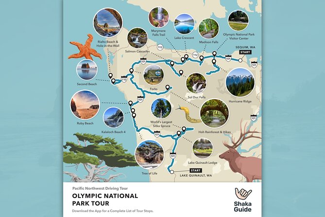 Olympic National Park Self-Guided Audio Tour - Hurricane Ridge and the Olympic Mountains