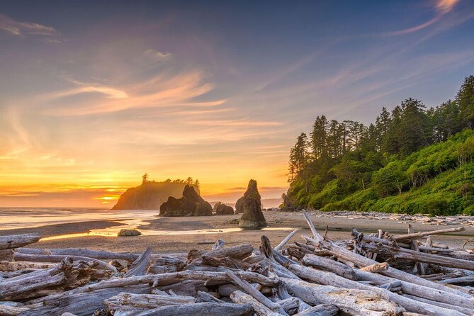 Olympic National Park Self-Guided Driving Audio Tour - Key points to know before you go