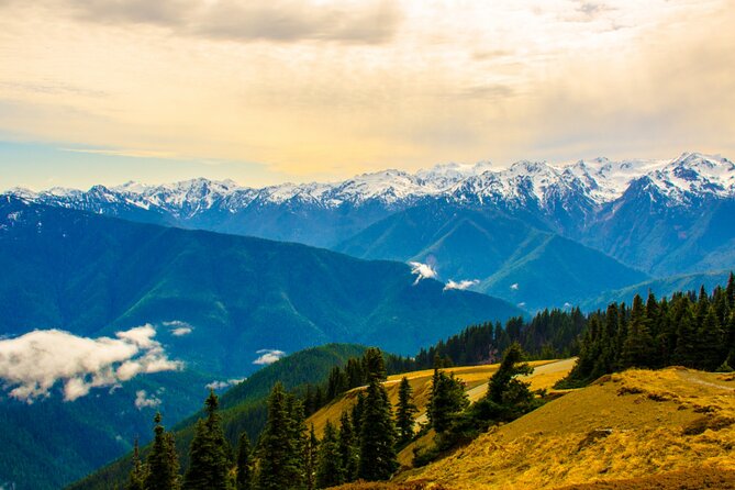 Olympic National Park Self-Guided Driving Audio Tour - Glines Canyon Dam Overlook and the Elwha story