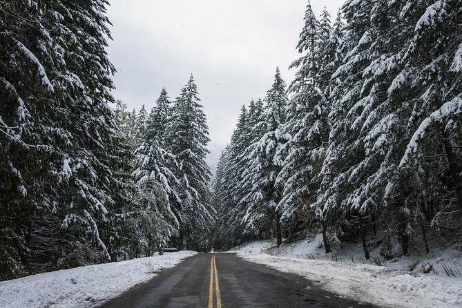 Olympic National Park Self-Guided Driving Audio Tour - The bonus routes require a separate day plan