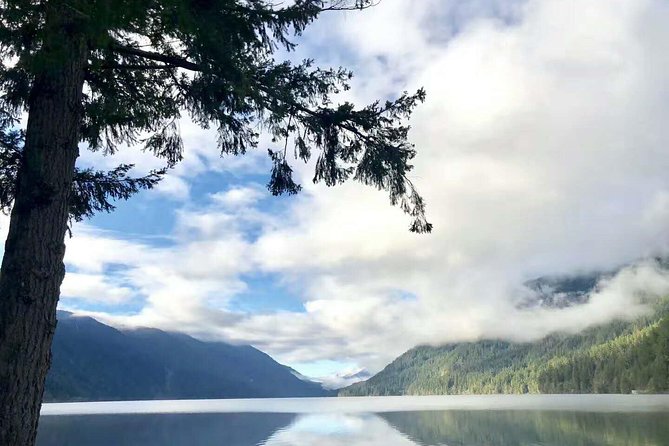 Olympic National Park Small Group Day Tour w/Scenic Ferry 2CanGo - Why the ferry makes this day worth considering