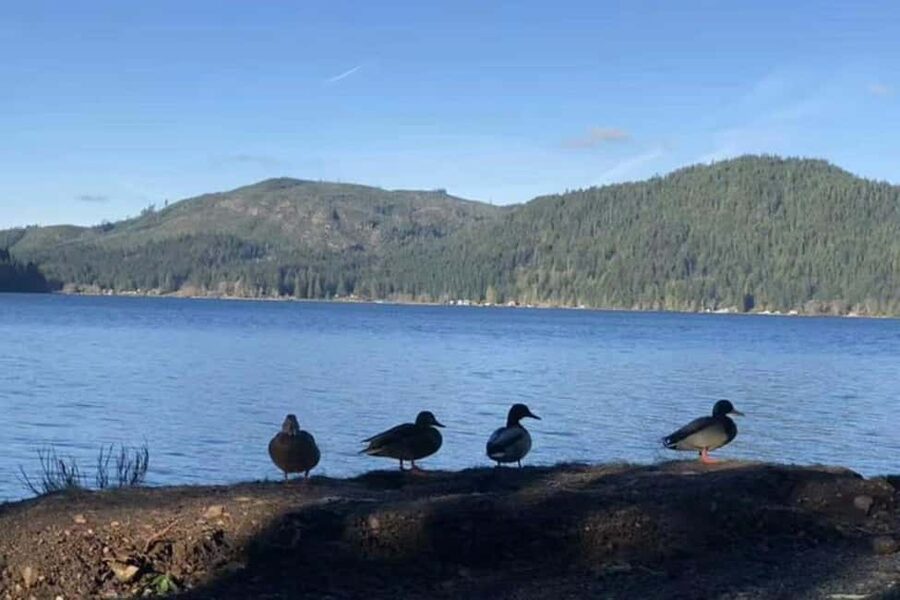 Olympic National Park Small Group Day Tour w/ State Ferries - Crossing Hood Canal and Entering the Park