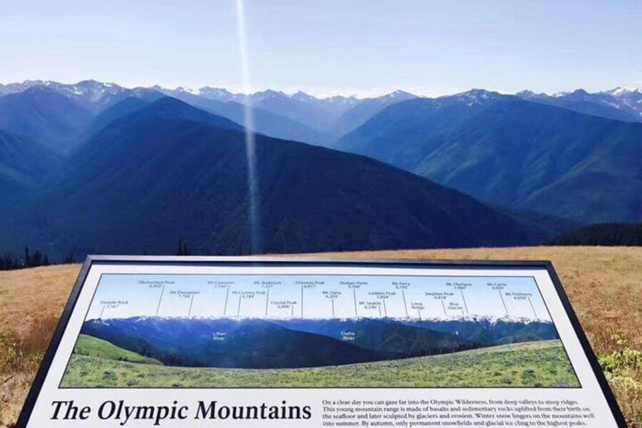 Olympic National Park Small Group Day Tour w/ State Ferries - When the Mountains Close: Ediz Hook and East Beach