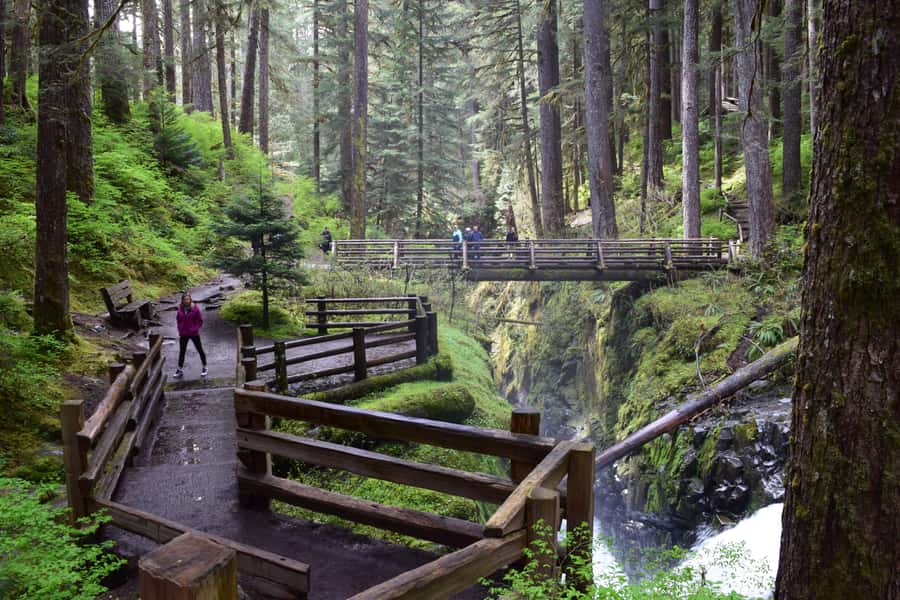 Olympic National Park: Sol Duc and Hurricane Ridge Tour - Why this route works so well in one day