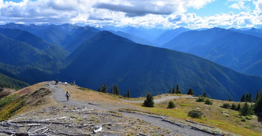 Olympic National Park: Sol Duc and Hurricane Ridge Tour - What the small van setup means for you