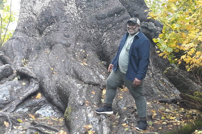 Olympic Peninsula and Forest Tour - Two forest walks, plus more if the route allows