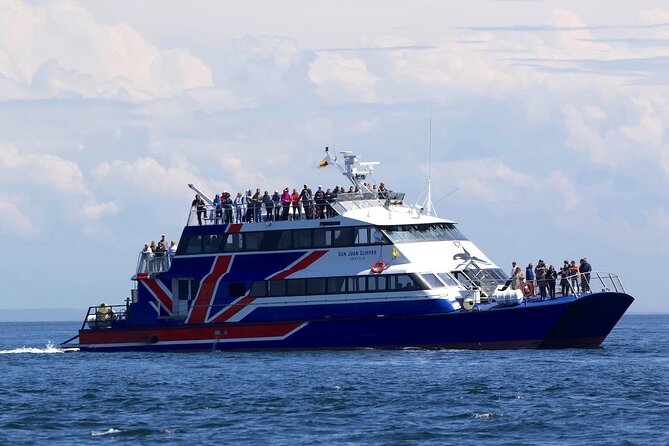 Only Wildlife and Whale Watching Tour Leaving from Seattle - Comfort, food, and the long ride