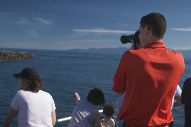 Only Wildlife and Whale Watching Tour Leaving from Seattle - Wildlife beyond the whales
