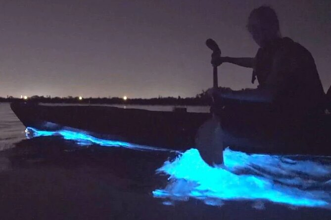 Orcas Island Bioluminescence Kayaking Tour - Key points to know before you book