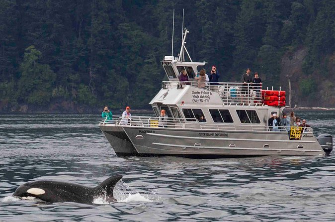 Orcas Island Whale Watching - Price, group size, and overall value