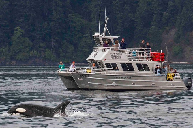 Orcas Island Whale Watching - The first 30 minutes: check in at Rosario Road
