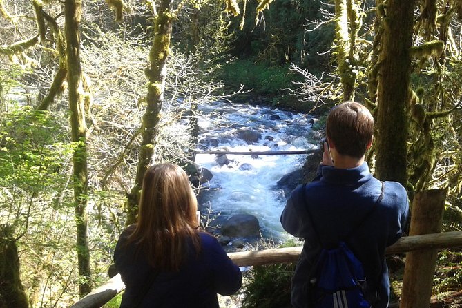 Private Cascade Mountains and Waterfalls Tour from Seattle - Snoqualmie Falls and the quick first stop