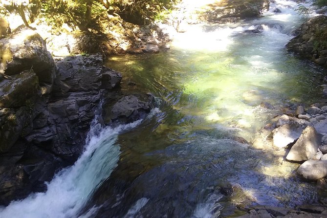 Private Cascade Mountains and Waterfalls Tour from Seattle - Guide style and the feel of the day