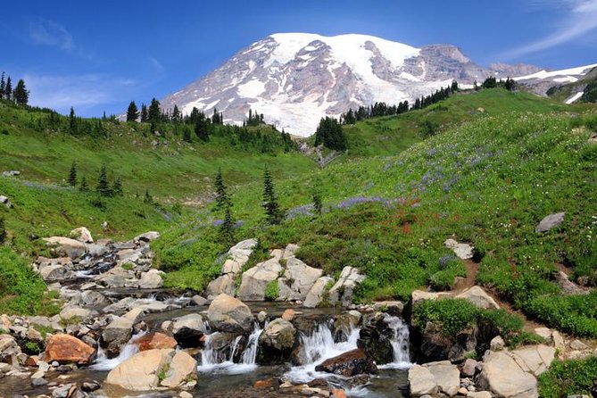 Private Mt Rainier National Park Day Trip from Seattle - Trail of the Shadows, a short walk with more to notice