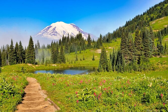 Private Mt Rainier National Park Tour in SUV - A private route to Mount Rainier from Seattle