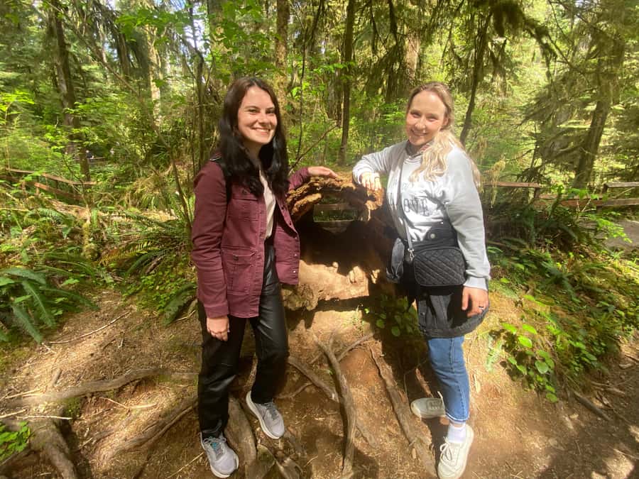 Rainforest and Olympic National Park Highlights - Who should book this tour