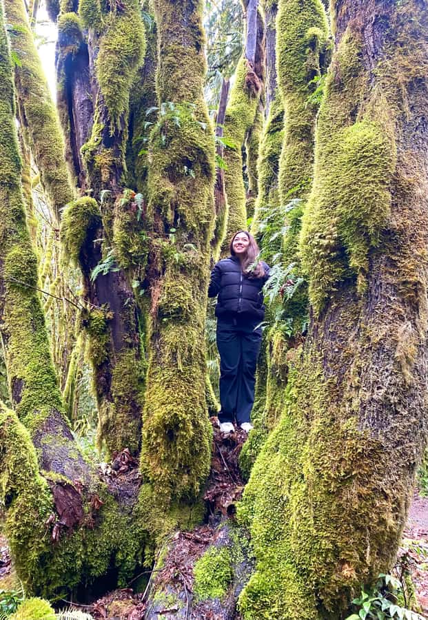 Rainforest and Olympic National Park Highlights - Quinault Rainforest and Lake Quinault Lodge