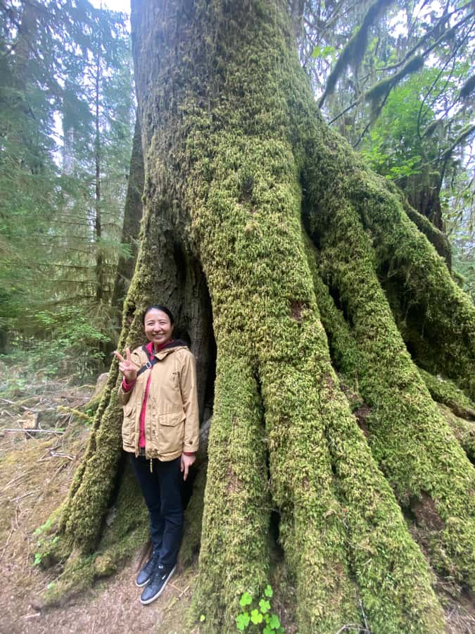 Rainforest and Olympic National Park Highlights - Lake Crescent’s peninsula viewpoint