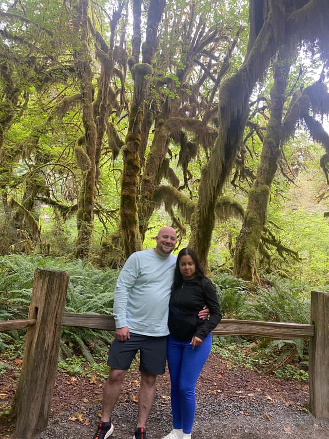 Rainforest and Olympic National Park Highlights - Snacks, comfort, and the value of $275