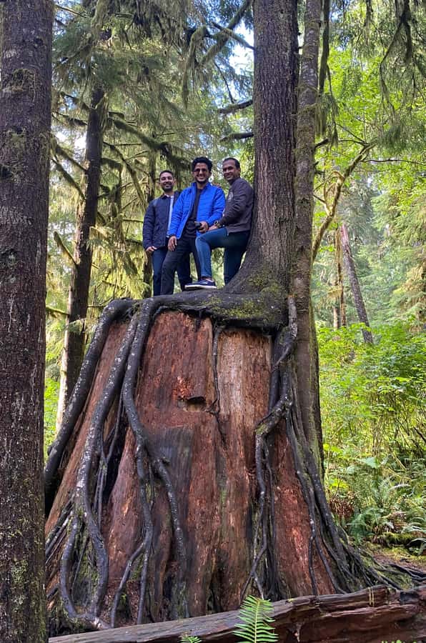 Rainforest and Olympic National Park Highlights - The road from Seattle to the rainforest