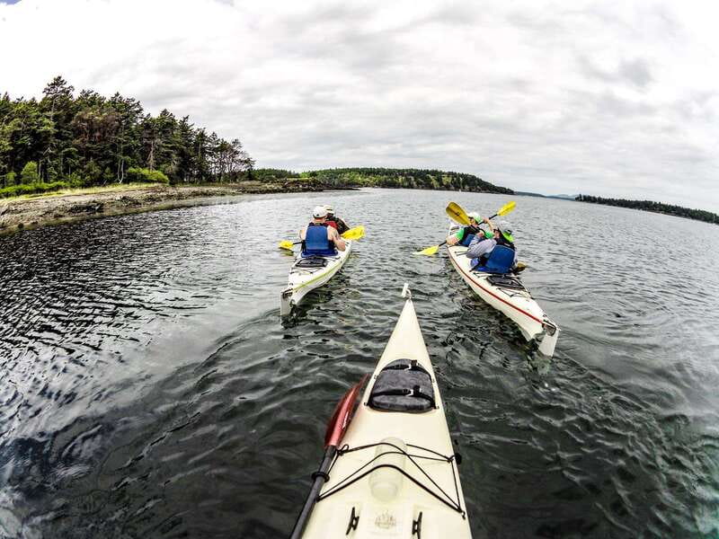 San Juan Island: Full Day Kayaking Tour with Lunch - Why Haro Strait makes this a special kayak trip