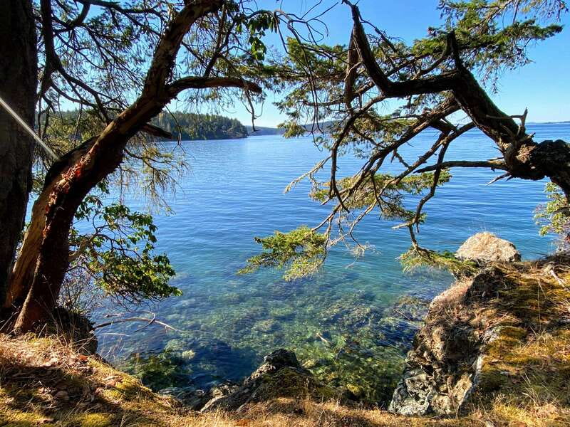 San Juan Island: Full Day Kayaking Tour with Lunch - Wildlife watching without a guarantee