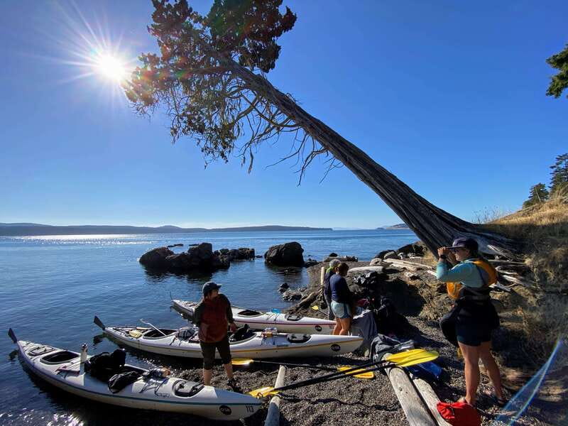 San Juan Island: Full Day Kayaking Tour with Lunch - Lime Kiln Point State Park and time on shore