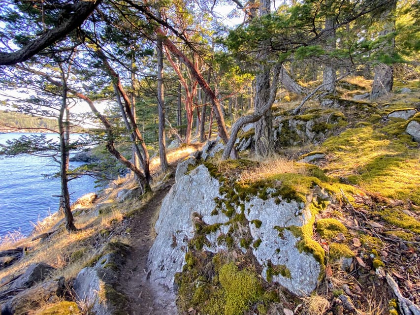 San Juan Island: Full Day Kayaking Tour with Lunch - Who should book this six-hour outing