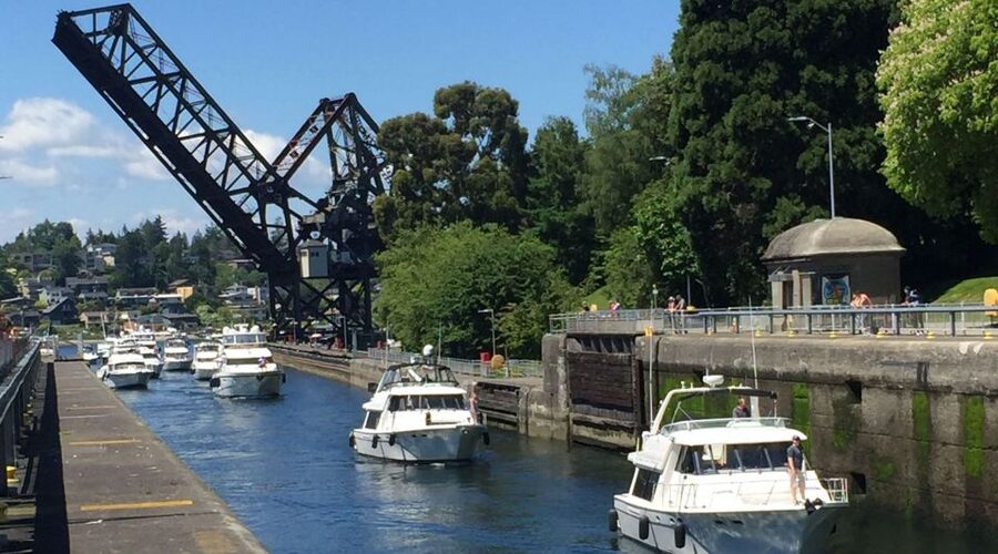 Seattle: 3-Hour City Highlights Tour - Why this three-hour route works