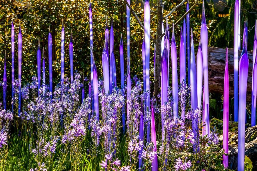 Seattle: Chihuly Garden and Glass Entry Ticket - What the $45 ticket actually gives you