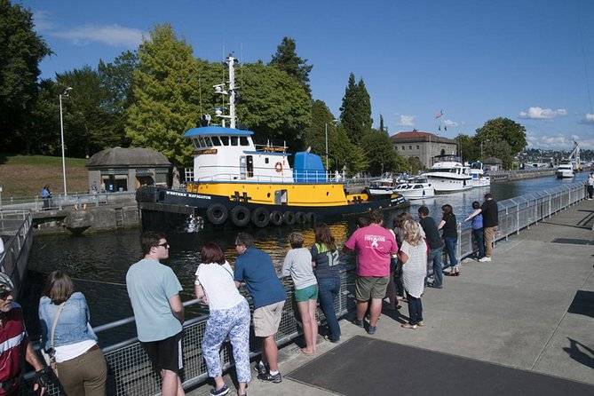 Seattle City and Snoqualmie Falls Half-Day Guided Tour - Why this four-hour route works for a first Seattle day