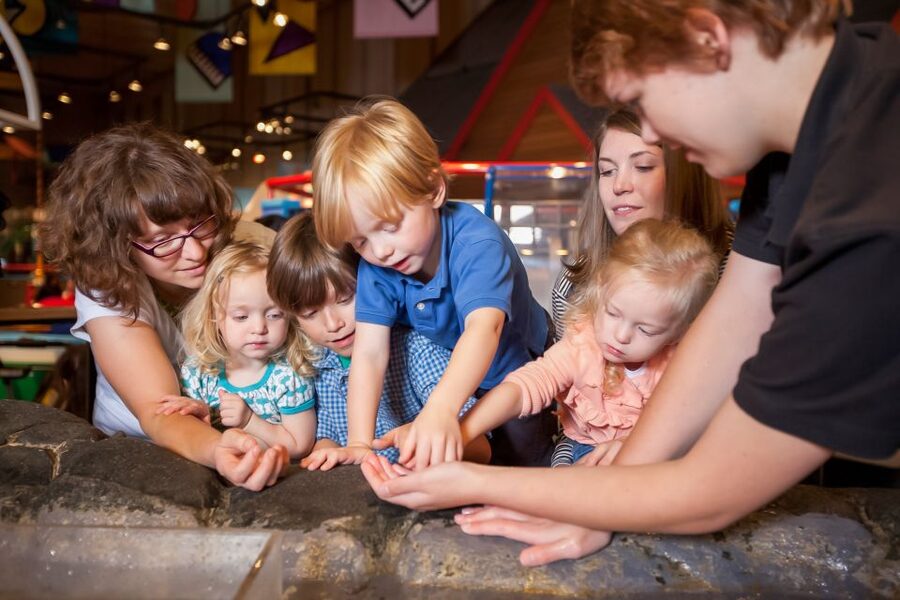 Seattle CityPASS®: Save up to 46% at 5 Top Attractions - The Argosy Harbor Tour adds context from the water