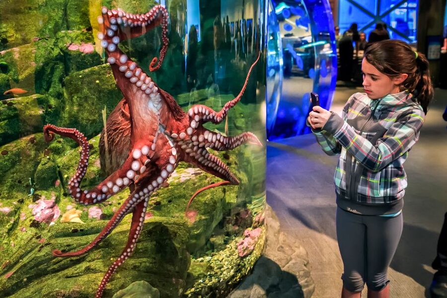 Seattle CityPASS®: Save up to 46% at 5 Top Attractions - Seattle Aquarium is required, but still worth scheduling