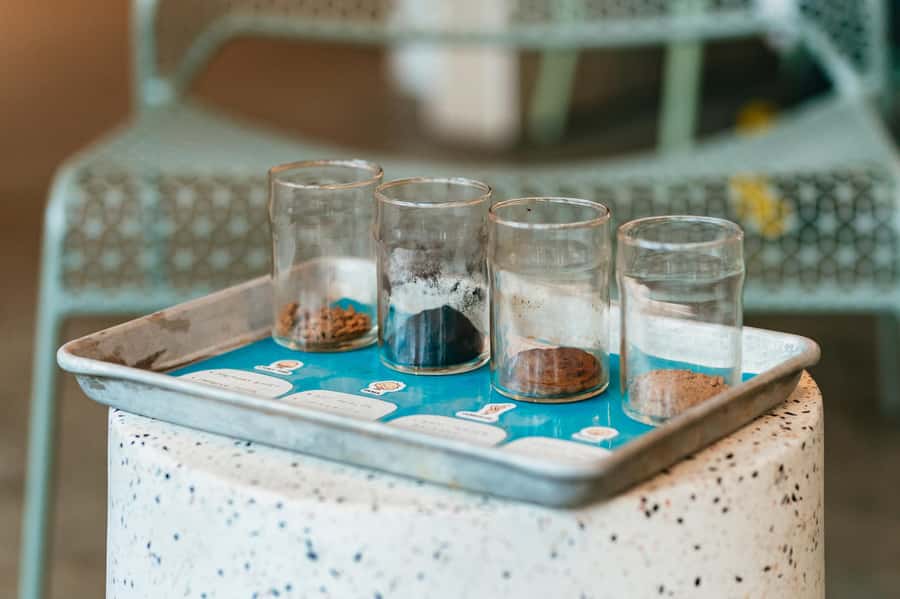 Seattle: Coffee Culture Walking Tour - The first cups: learning how coffee gets its character