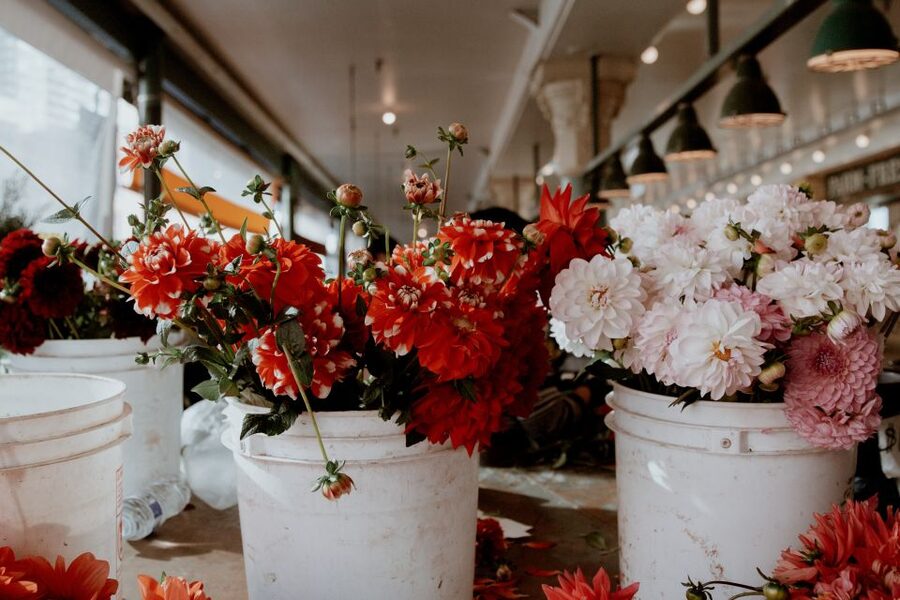 Seattle: Early-Bird Tasting Tour of Pike Place Market - Should you book it?
