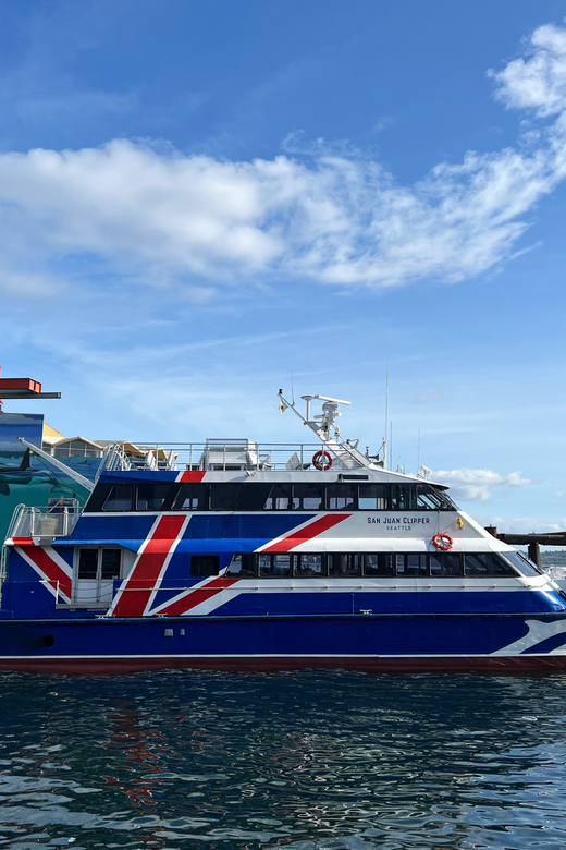 Seattle: Half-Day Wildlife and Whale Watching Cruise - Key points to know before you book