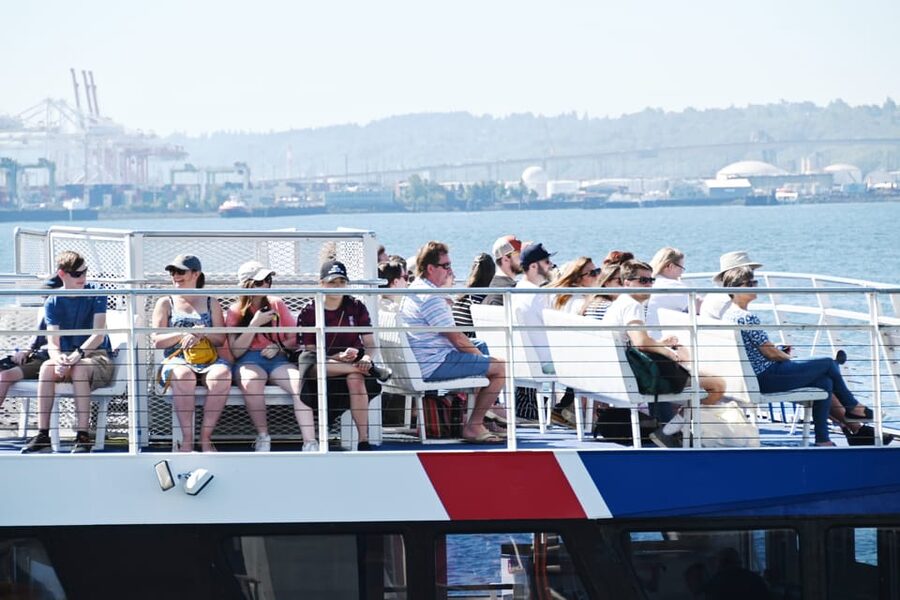 Seattle: Half-Day Wildlife and Whale Watching Cruise - Should you book this whale watching cruise?
