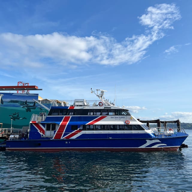 Seattle: Half-Day Wildlife and Whale Watching Cruise - The value of a $148 half-day cruise
