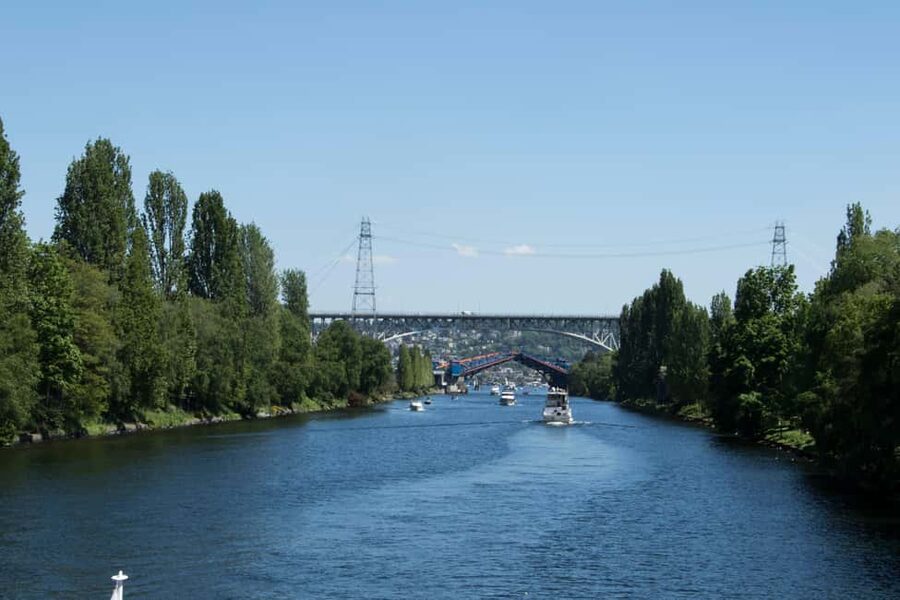 Seattle: Locks Cruise with Local Guide - Should you book the Seattle Locks Cruise?