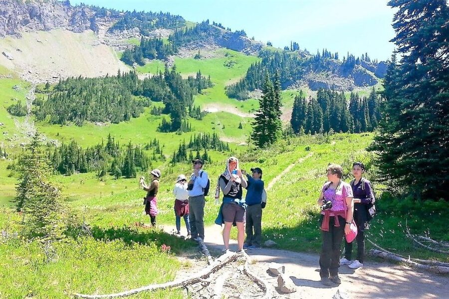 Seattle: Mount Rainier Park All-Inclusive Small Group Tour - Practical details that make the day easier