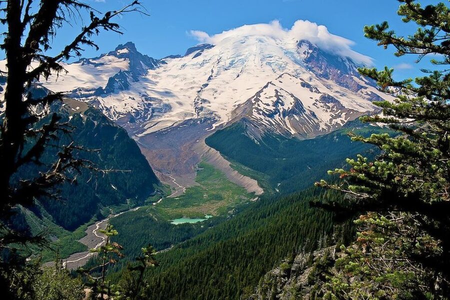 Seattle: Mount Rainier Park All-Inclusive Small Group Tour - Lunch with a local touch