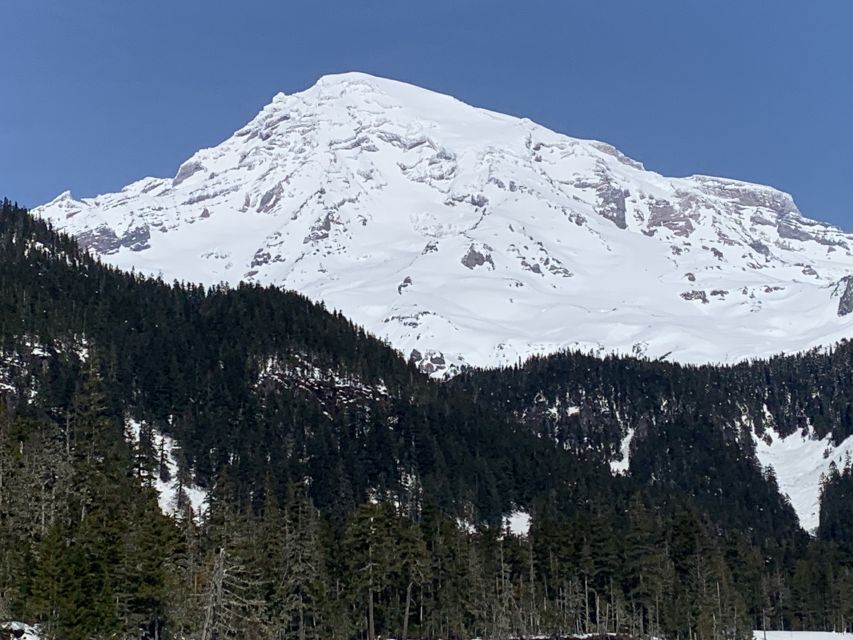 Seattle: Mt. Rainier Park Guided Full-Day Tour - What the $179 price includes