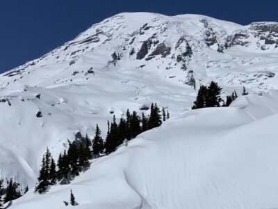 Mt. Rainier Park Guided Full-Day Tour