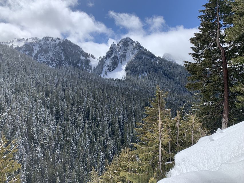 Seattle: Mt. Rainier Park Guided Full-Day Tour - Three hours of guided exploration inside the park