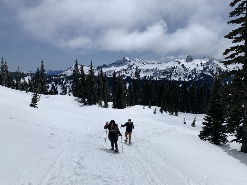 Seattle: Mt. Rainier Park Guided Full-Day Tour - Snowshoe and crampon walks from October through June