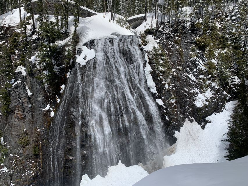 Seattle: Mt. Rainier Park Guided Full-Day Tour - Waterfalls, rivers, and old-growth forest